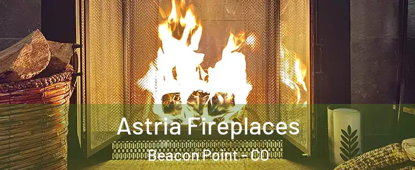 Astria Fireplaces Beacon Point - CO