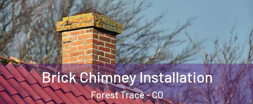 Brick Chimney Installation Forest Trace - CO