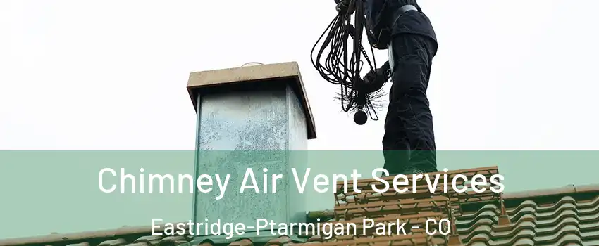 Chimney Air Vent Services Eastridge-Ptarmigan Park - CO