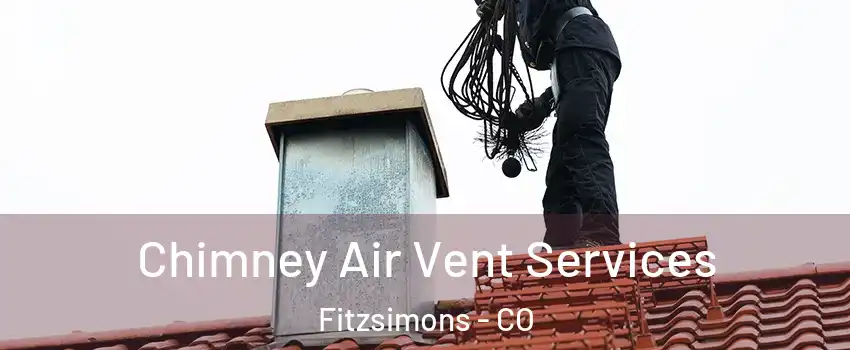 Chimney Air Vent Services Fitzsimons - CO