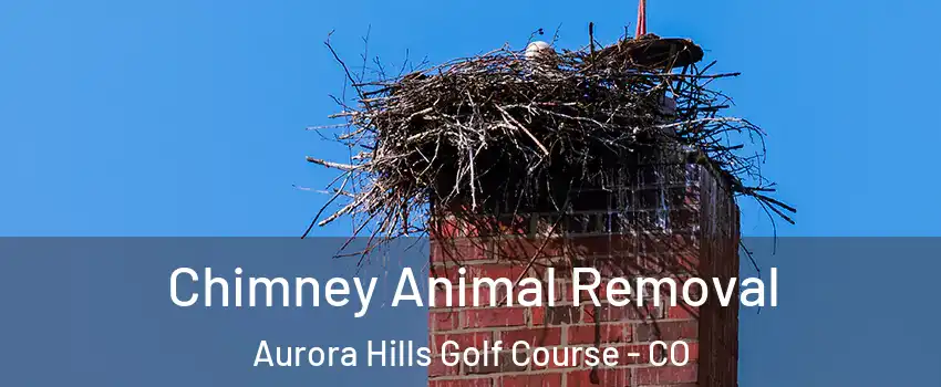 Chimney Animal Removal Aurora Hills Golf Course - CO