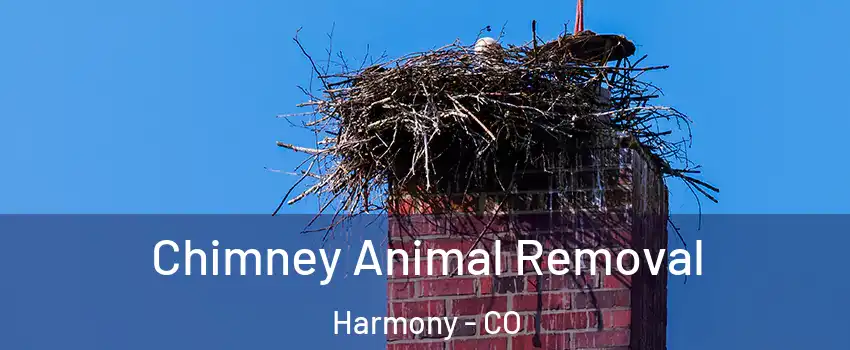 Chimney Animal Removal Harmony - CO