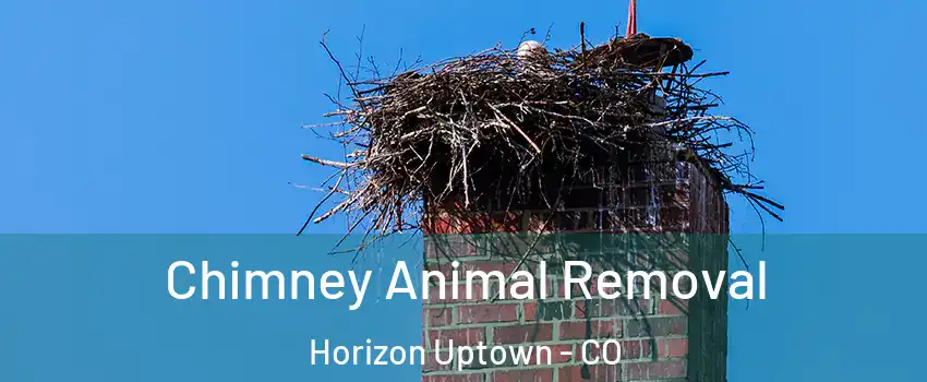 Chimney Animal Removal Horizon Uptown - CO