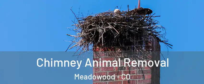 Chimney Animal Removal Meadowood - CO