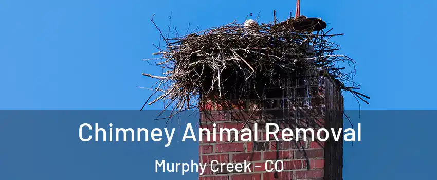 Chimney Animal Removal Murphy Creek - CO