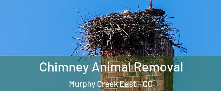 Chimney Animal Removal Murphy Creek East - CO