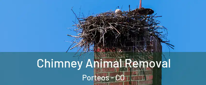 Chimney Animal Removal Porteos - CO