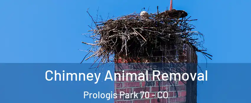 Chimney Animal Removal Prologis Park 70 - CO