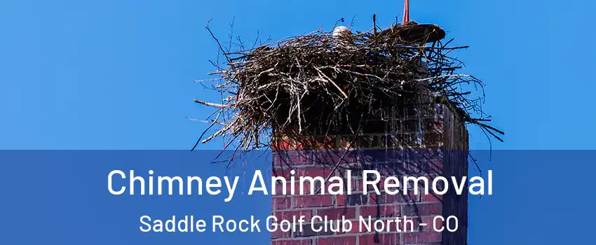 Chimney Animal Removal Saddle Rock Golf Club North - CO