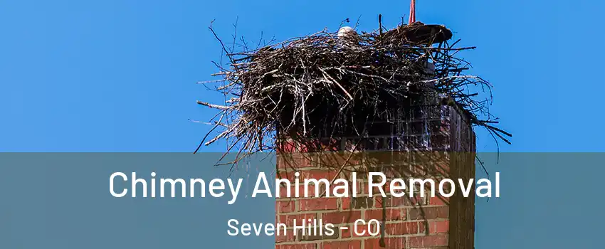 Chimney Animal Removal Seven Hills - CO