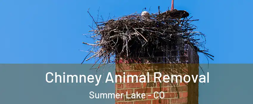 Chimney Animal Removal Summer Lake - CO