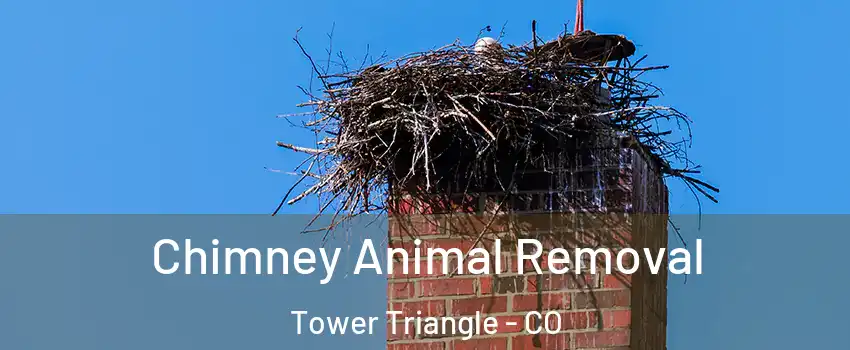 Chimney Animal Removal Tower Triangle - CO