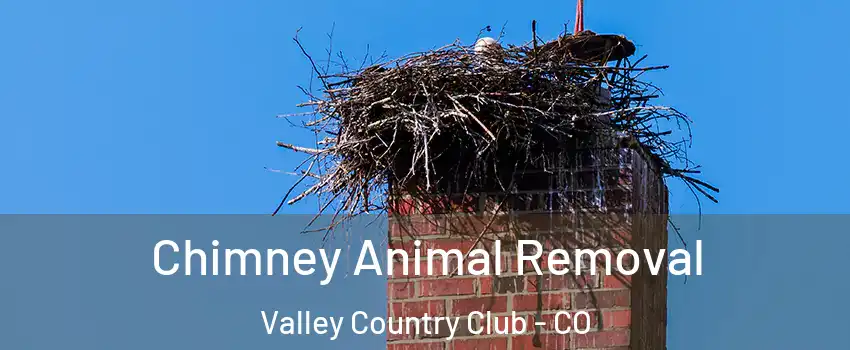 Chimney Animal Removal Valley Country Club - CO