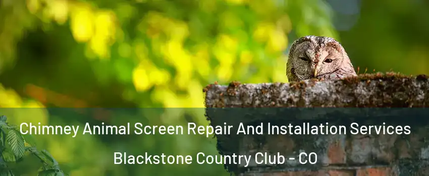 Chimney Animal Screen Repair And Installation Services Blackstone Country Club - CO