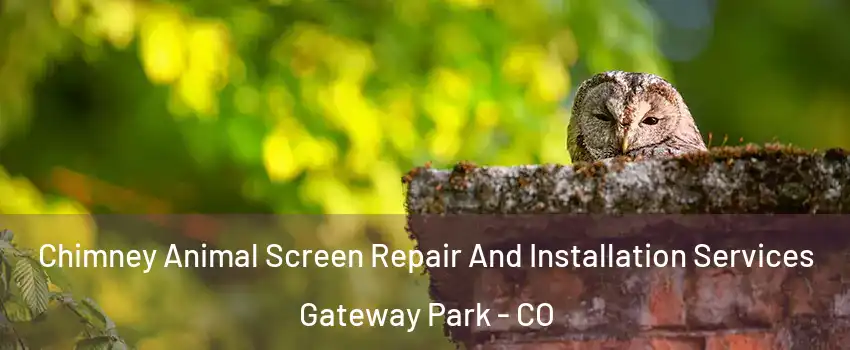 Chimney Animal Screen Repair And Installation Services Gateway Park - CO