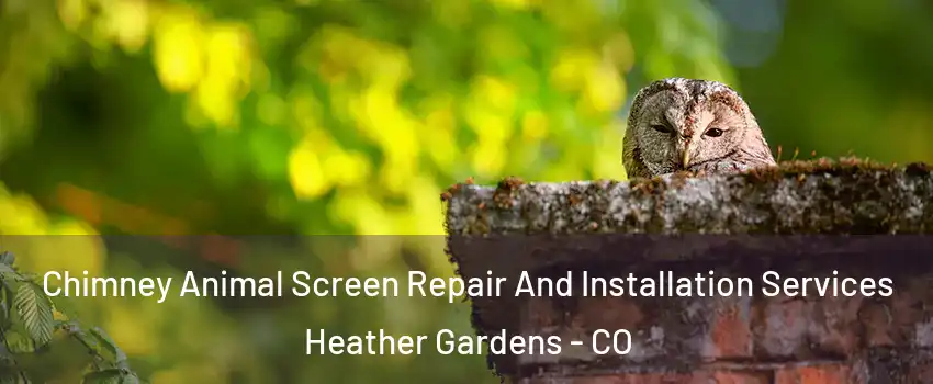 Chimney Animal Screen Repair And Installation Services Heather Gardens - CO