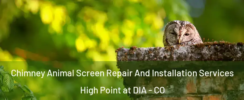 Chimney Animal Screen Repair And Installation Services High Point at DIA - CO