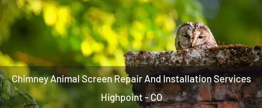 Chimney Animal Screen Repair And Installation Services Highpoint - CO