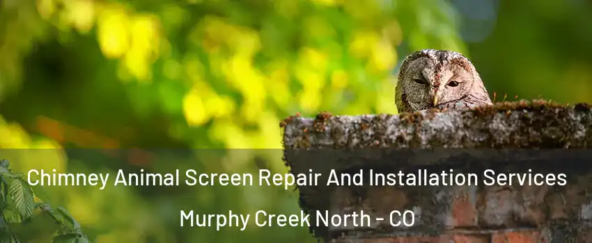 Chimney Animal Screen Repair And Installation Services Murphy Creek North - CO
