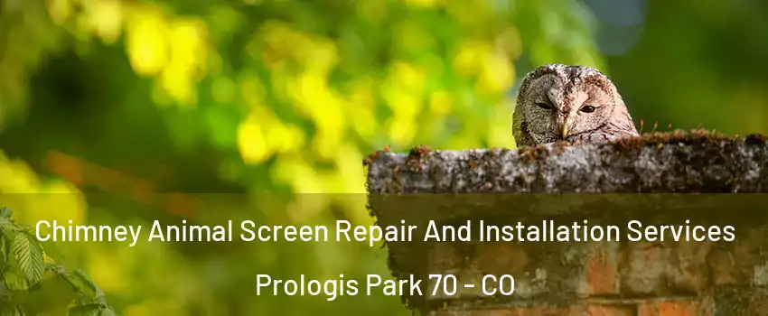 Chimney Animal Screen Repair And Installation Services Prologis Park 70 - CO