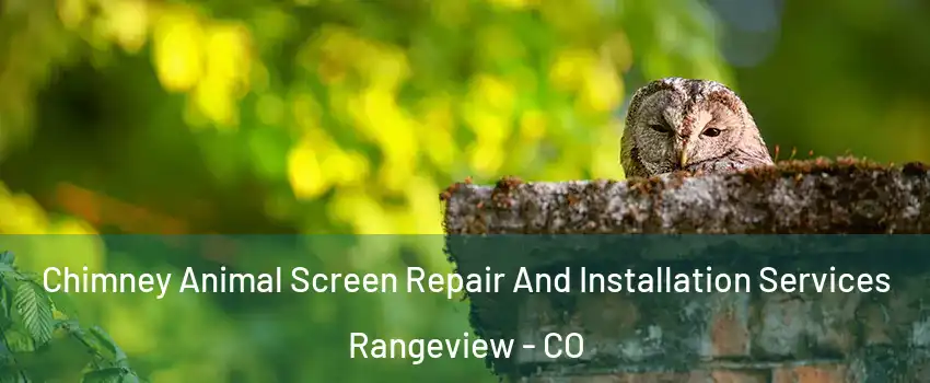Chimney Animal Screen Repair And Installation Services Rangeview - CO