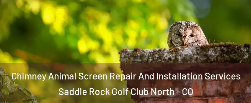 Chimney Animal Screen Repair And Installation Services Saddle Rock Golf Club North - CO