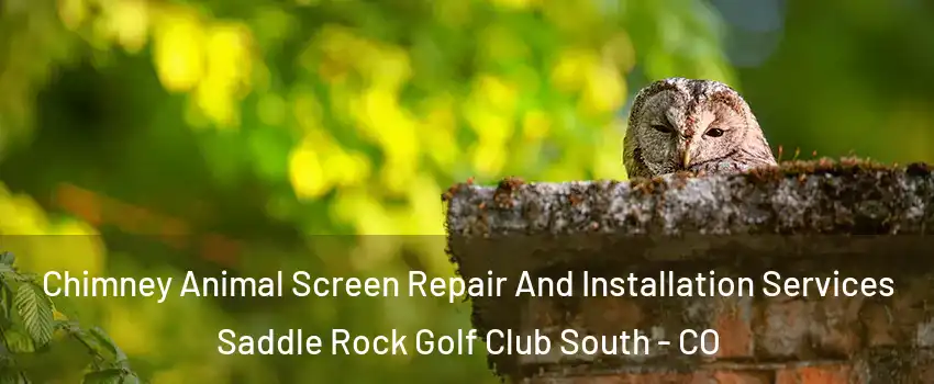 Chimney Animal Screen Repair And Installation Services Saddle Rock Golf Club South - CO