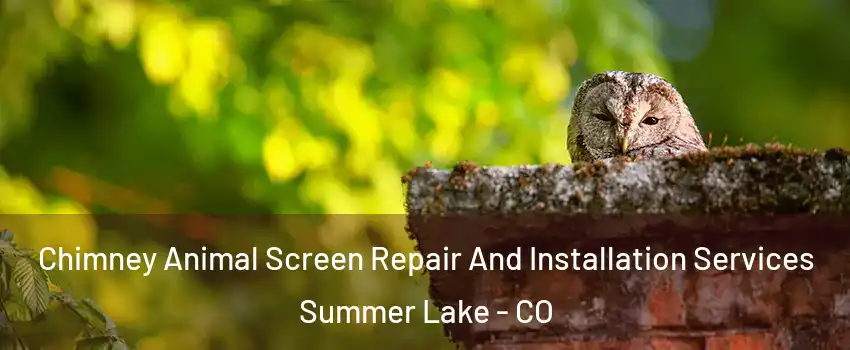 Chimney Animal Screen Repair And Installation Services Summer Lake - CO