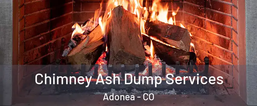 Chimney Ash Dump Services Adonea - CO