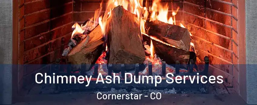 Chimney Ash Dump Services Cornerstar - CO