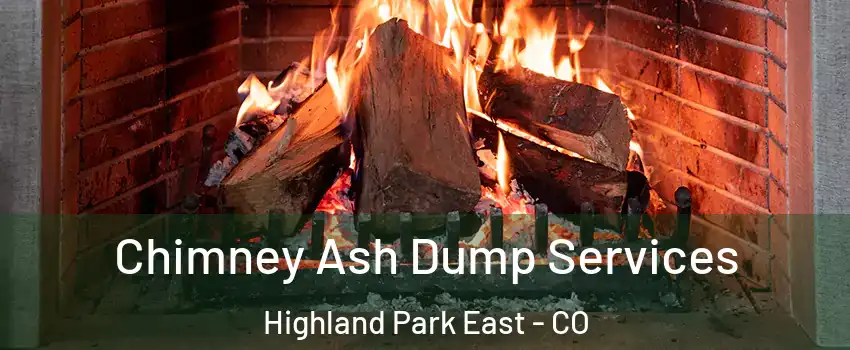 Chimney Ash Dump Services Highland Park East - CO