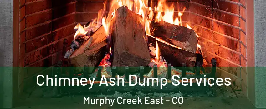 Chimney Ash Dump Services Murphy Creek East - CO