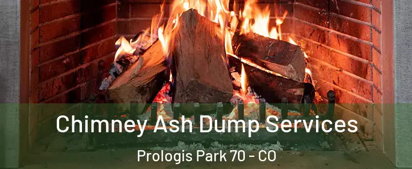 Chimney Ash Dump Services Prologis Park 70 - CO
