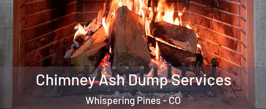 Chimney Ash Dump Services Whispering Pines - CO