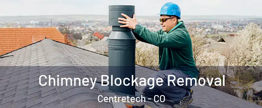 Chimney Blockage Removal Centretech - CO