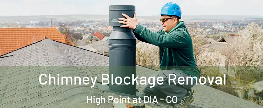 Chimney Blockage Removal High Point at DIA - CO