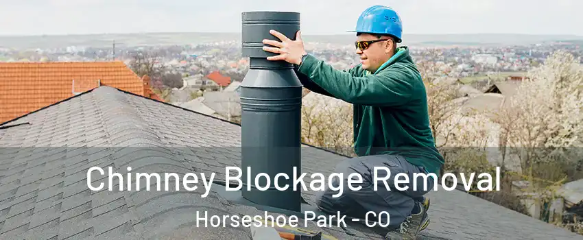 Chimney Blockage Removal Horseshoe Park - CO