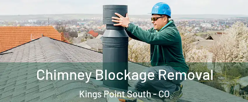 Chimney Blockage Removal Kings Point South - CO