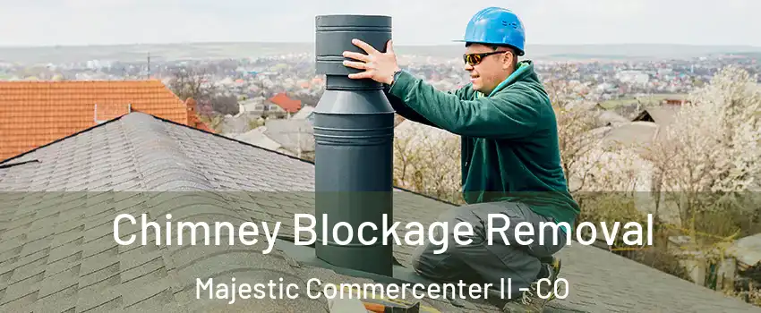 Chimney Blockage Removal Majestic Commercenter II - CO