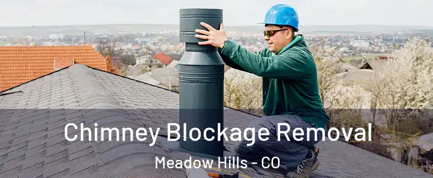 Chimney Blockage Removal Meadow Hills - CO