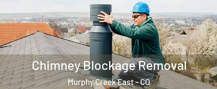 Chimney Blockage Removal Murphy Creek East - CO