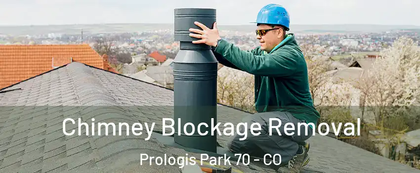 Chimney Blockage Removal Prologis Park 70 - CO