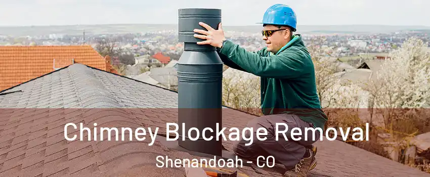 Chimney Blockage Removal Shenandoah - CO