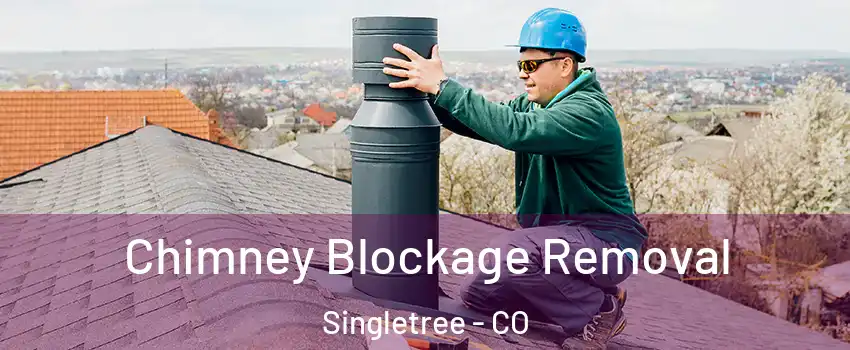 Chimney Blockage Removal Singletree - CO