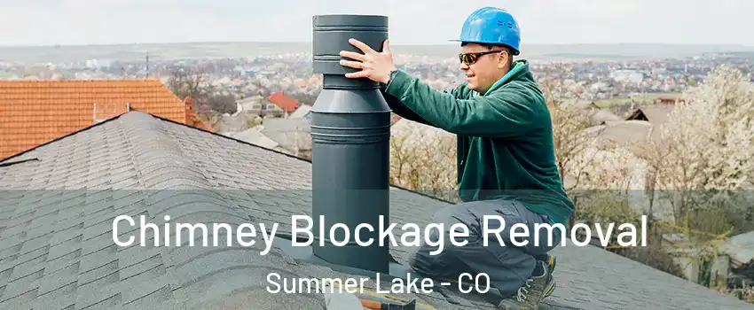 Chimney Blockage Removal Summer Lake - CO
