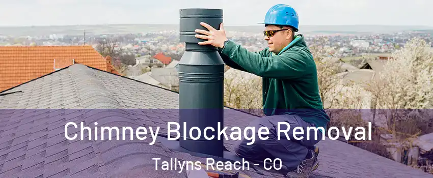 Chimney Blockage Removal Tallyns Reach - CO