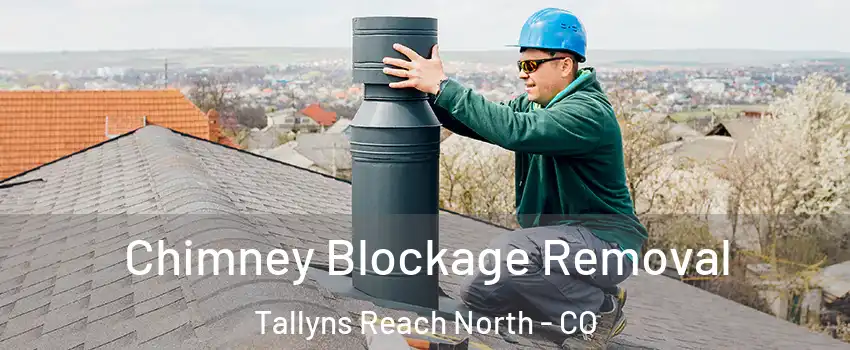 Chimney Blockage Removal Tallyns Reach North - CO
