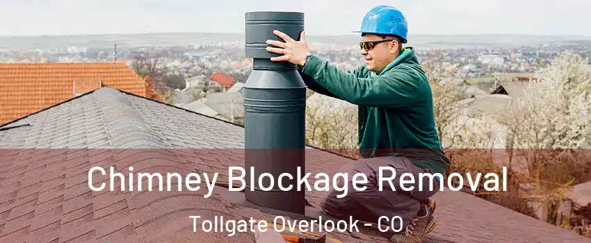 Chimney Blockage Removal Tollgate Overlook - CO