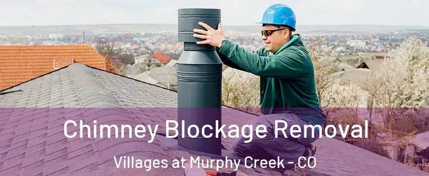 Chimney Blockage Removal Villages at Murphy Creek - CO