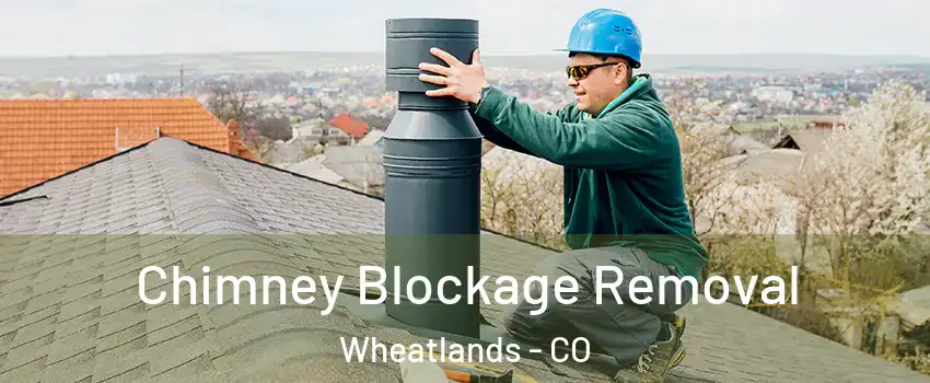 Chimney Blockage Removal Wheatlands - CO